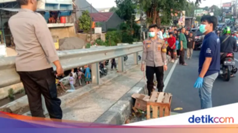 Benda Dikira Mayat Bayi di Depok Ternyata Bangkai Kucing, Warga Geger