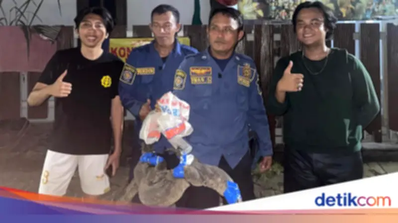 Biawak 40 cm Masuk Rumah Warga Bogor, Damkar Evakuasi 20 Menit