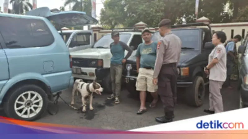 Bocah 9 Tewas Diserang Anjing Pemburu Babi Saat Memancing Belut di Bogor