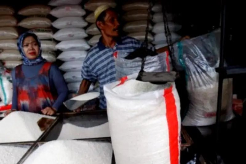 BRIN Manfaatkan Teknologi Nuklir untuk Tingkatkan Daya Saing Produk Pangan