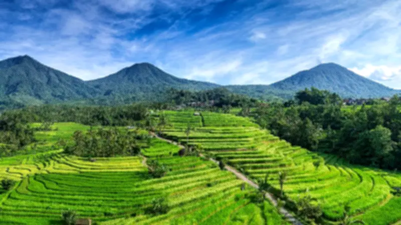 BRIN: Subak Bali Jadi Contoh Global Pertanian Berkelanjutan