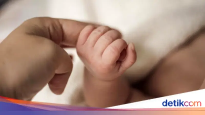 Cara Urus Akta Kelahiran Online Lewat IKD, Simak Langkah-langkahnya