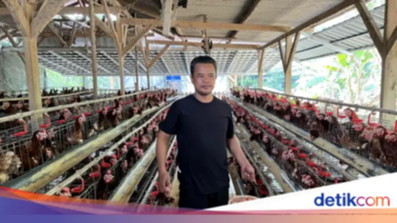 Dari Utang Rp60 Juta ke 1.000 Ayam Petelur, Kisah Nirin yang Berhasil Berkat KUR BRI