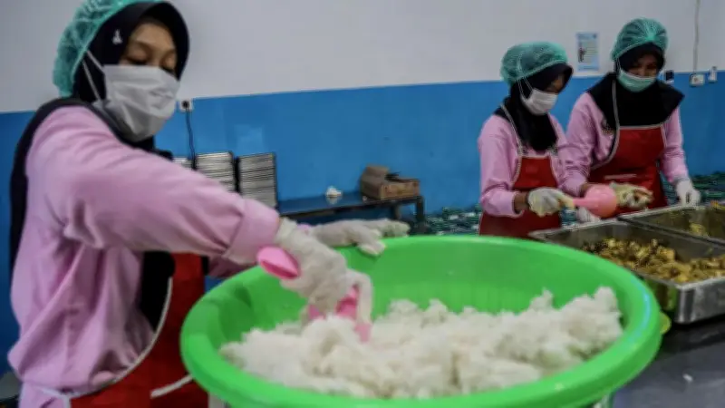DPR Usul Program Makan Bergizi Gratis Dihentikan Sementara Selama Libur Sekolah