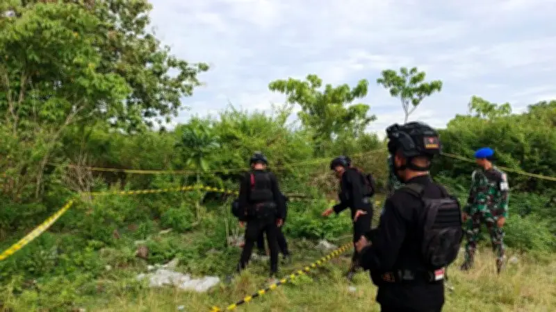 Dua Granat Nanas Peninggalan Perang Dunia II Dimusnahkan di Jayapura