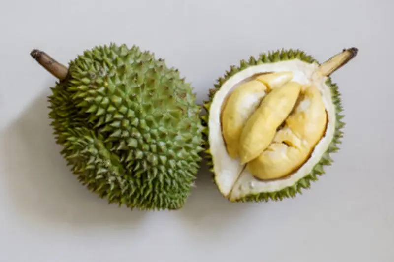 Durian Tidak Sebabkan Pusing, Ini Fakta Ilmiahnya