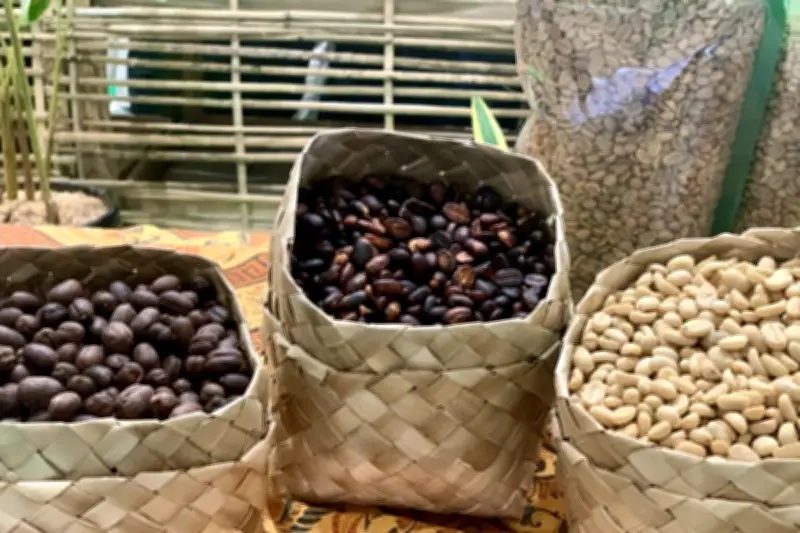 El Nino Resmi Terbentuk, Ancaman Kekeringan bagi Produksi Kopi Vietnam