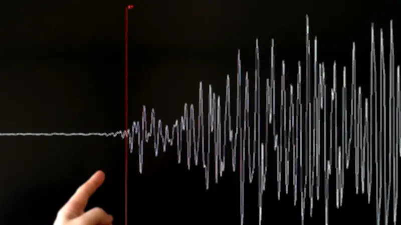 Gempa M5,6 Guncang Banggai, Terasa Keras di Luwuk, Tak Berpotensi Tsunami