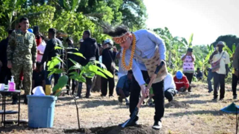 Gibran Tanam Kakao di Papua Barat, Percepat Rehabilitasi Perkebunan
