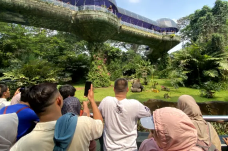 Gratis Masuk Ragunan, Ancol, Monas Sambut HUT Jakarta ke-499