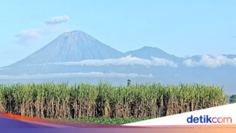 Gunung Semeru Erupsi Tiga Kali Pagi Ini, Abu Capai 900 Meter