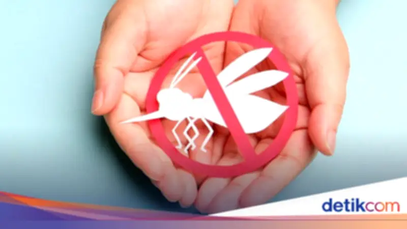 Hari Demam Berdarah ASEAN 2026: Tema dan Pesan Penting untuk Nol Kematian