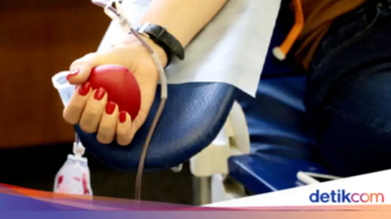 Hari Donor Darah Sedunia 2026: 14 Juni, Tema dan Cara Merayakan