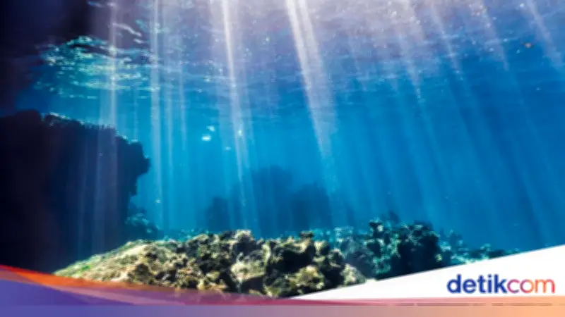 Hari Laut Sedunia 2026: Latar Belakang, Tema, dan Cara Merayakannya
