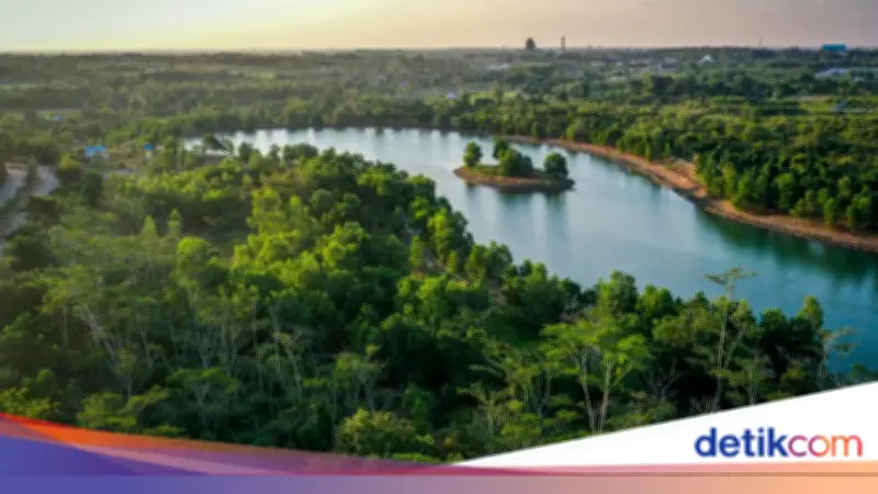 Hari Tropis Internasional 29 Juni 2026: Sejarah dan Fakta
