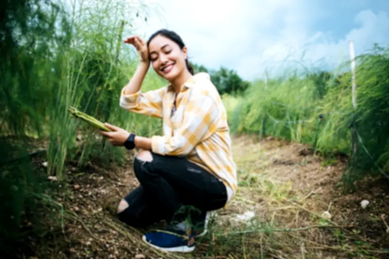 Hoaks Pendaftaran Petani Milenial 2026, Modus Pencurian Data