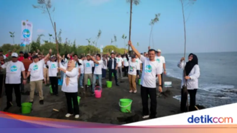 Jateng Tanam 92.290 Bibit Mangrove dan Tanaman Pesisir Cegah Abrasi