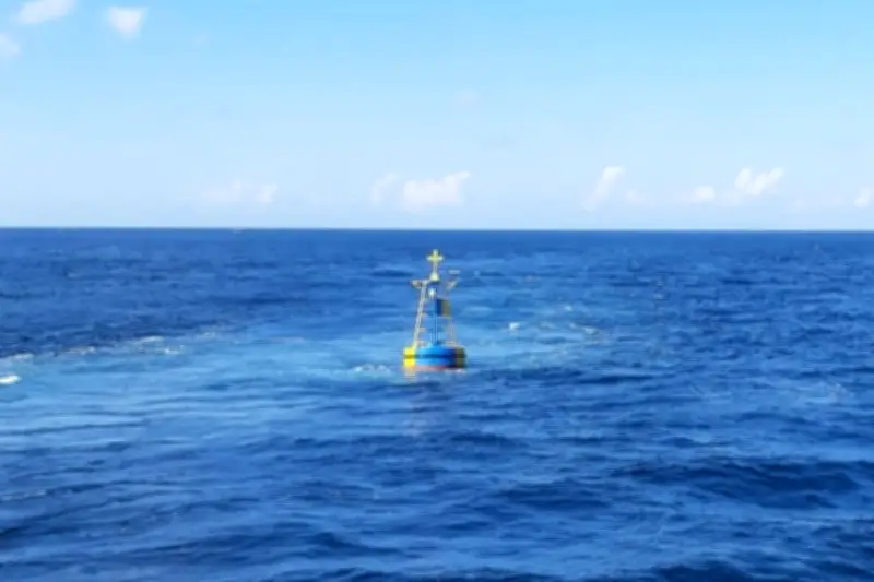 Keajaiban di China: Pria 39 Tahun Selamat 7 Hari di Laut dengan Makan Kepiting Mentah