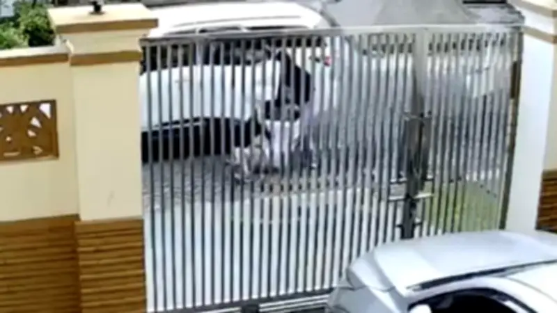 Lansia di Penjaringan Nyaris Diculik saat Olahraga Pagi, Terekam CCTV