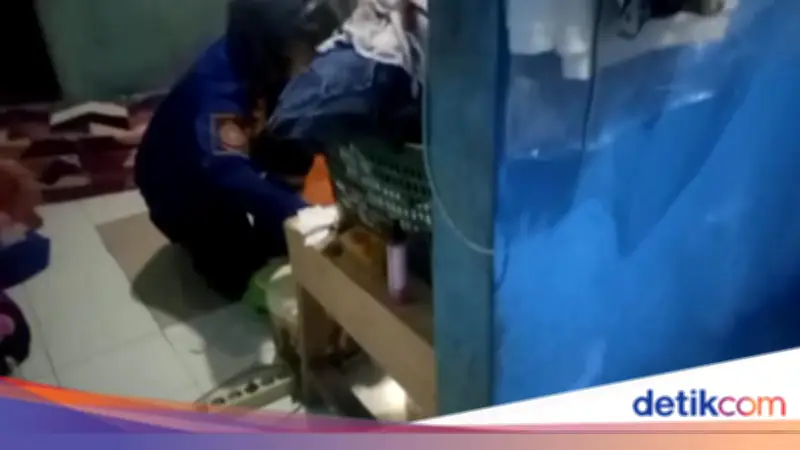 Malam-Malam Ular Kobra Masuk Kamar Warga Bogor, Damkar Dievakuasi