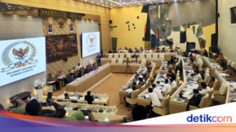 Mendagri Minta Semua Pemda Stop Rekrut Honorer Baru: Sudah Moratorium