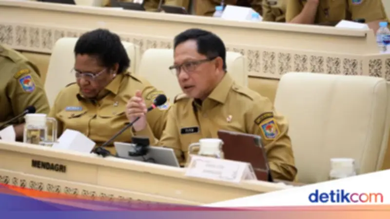 Mendagri Usul BUMD Diawasi Pejabat Setingkat Dirjen, Butuh UU Khusus