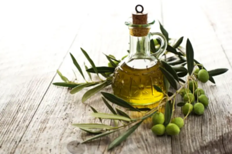 Minyak Zaitun: Antiinflamasi Alami untuk Kesehatan Tubuh
