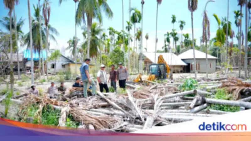 Pascabanjir Pidie Jaya, BNPP Tekankan Pentingnya Tanggul Sungai Permanen