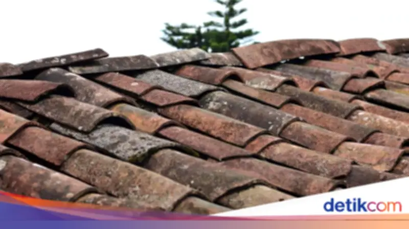 Pemkab Serang Tertibkan 136 Rumah di Bantaran Irigasi dengan Pendekatan Humanis
