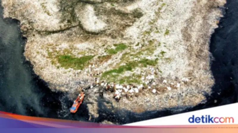 Penyebab Munculnya 'Pulau Sampah' di Pesisir Jakarta Terungkap