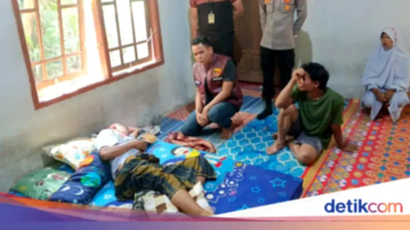Petani di Musi Rawas Diserang Beruang saat di Kebun, Luka Robek di Pinggang dan Paha