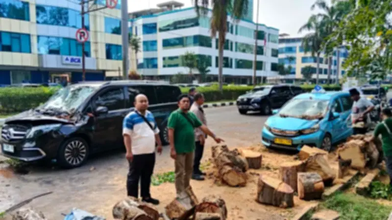 Pohon Tumbang di Kelapa Gading Timpa Dua Mobil, Dua Orang Luka