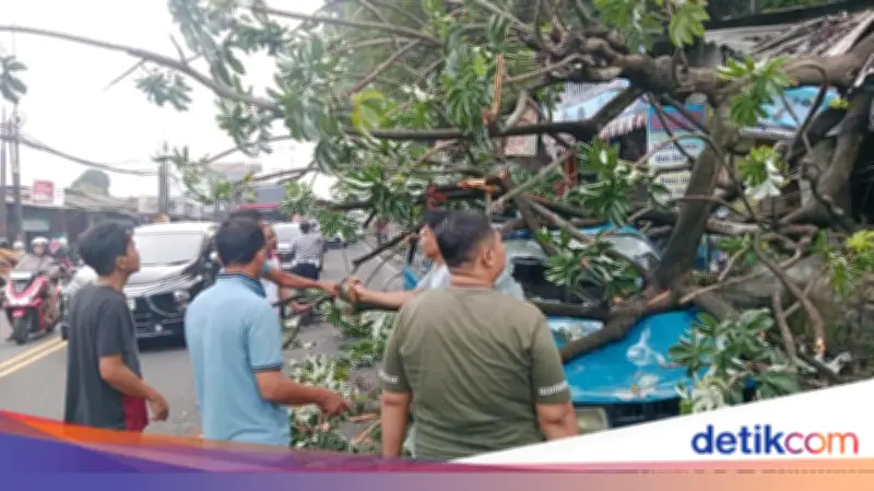 Pohon Tumbang di Simpang Talang Bogor Timpa Kios dan Angkot, Lalin Macet