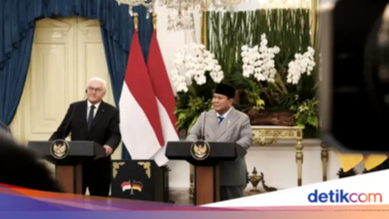Prabowo dan Presiden Jerman Sepakat Konflik Selesai Lewat Diplomasi