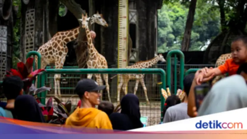 Promo HUT Jakarta: Pemegang KTP DKI Gratis Masuk Ragunan 3 Hari