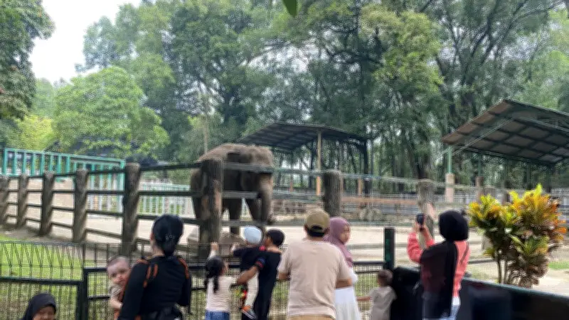 Ragunan Siapkan 27 Titik Parkir Tambahan untuk Antisipasi Lonjakan Pengunjung