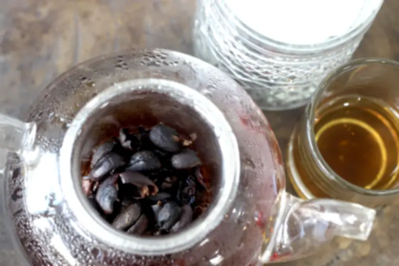 Ruang Sowan: Kedai Kopi Tenang di Malang dengan Menu Cascara Unik