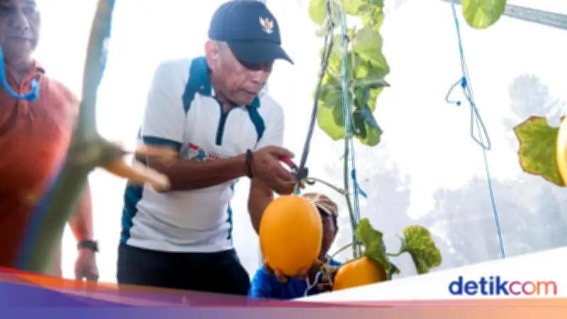 Sentra Kemensos Kini Jadi Pusat Pemberdayaan Pertanian dan Perkebunan
