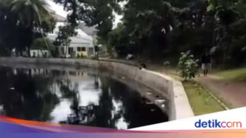 Situ Bahar Depok Hitam dan Bau, Diduga Tercemar Limbah, DLHK Turun Tangan