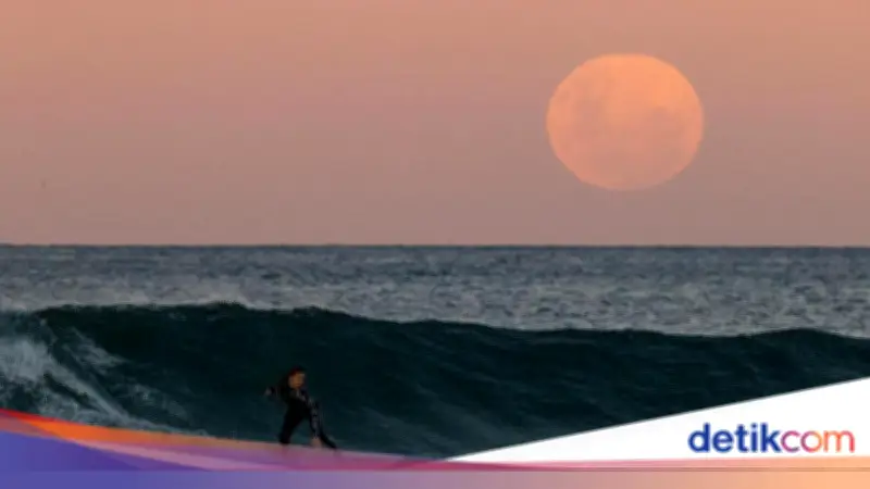 Super New Moon Juni 2026, BMKG Ingatkan Potensi Banjir Rob di Pesisir