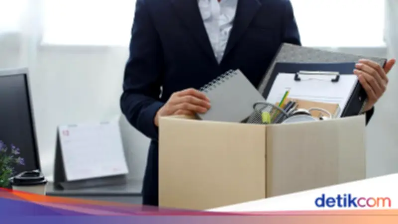 Syarat dan Cara Klaim JKP Lewat SIAPkerja Terbaru 2026