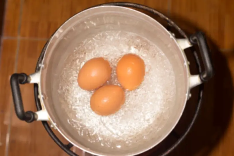 Telur Rebus Aman? Ini Cara Pastikan Bebas Bakteri Berbahaya