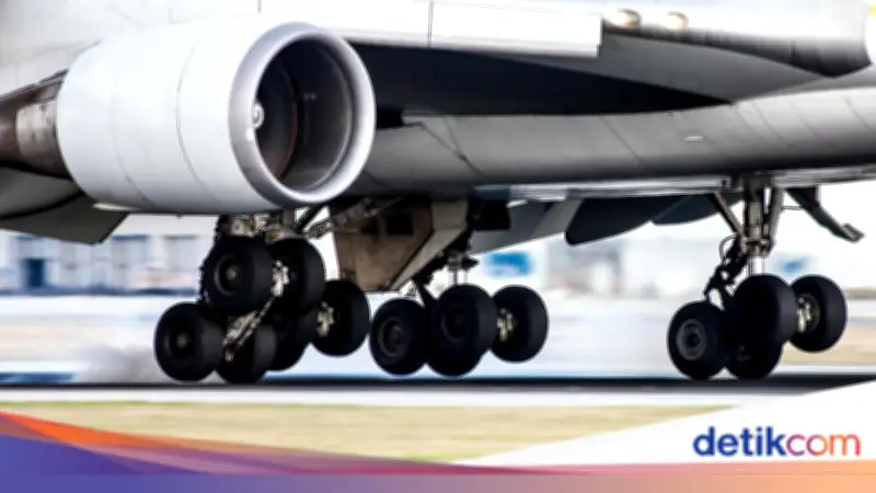 Temuan Mayat di Roda Pesawat Air Arabia di Bandara Gatwick Inggris