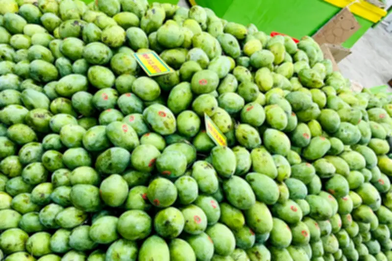 Tips Memilih Mangga Matang Sempurna: Jangan Tertipu Warna Kulit