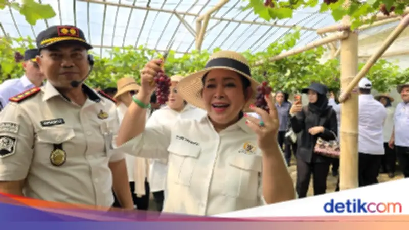 Titiek Soeharto Cicipi Anggur Manis Hasil Rawatan Napi di Nusakambangan