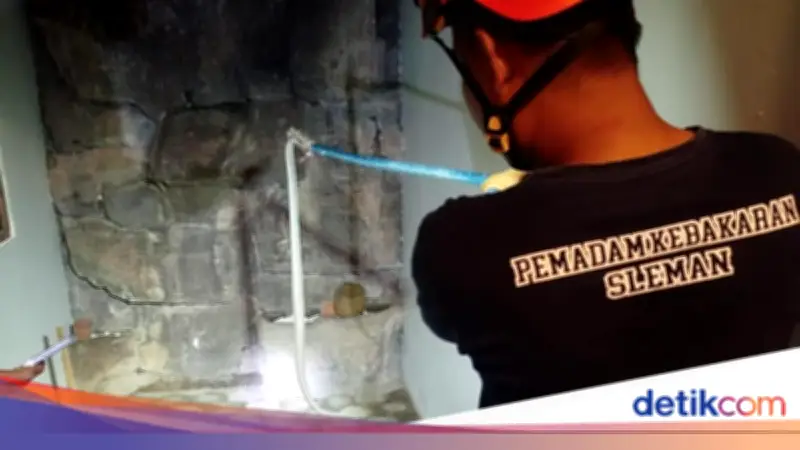 Ular Kobra Jawa Masuk Rumah Eross Sheila On 7 Tengah Malam, Dievakuasi Damkar