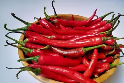 Benarkah Makan Cabai Bisa Kurangi Nafsu Makan? Ini Penjelasan Medis