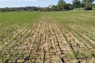BMKG: Puncak Musim Kemarau 2026 Juli-September, Waspada El Nino