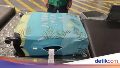 BNN Tangkap 2 WN Rusia Bawa 7,8 Kg Hashish di Bali, Ini Penjelasannya