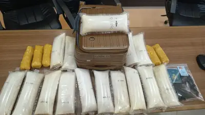 DPR Soroti Praktik Jual Beli Benur di Pasar Gelap, Negara Rugi Triliunan
